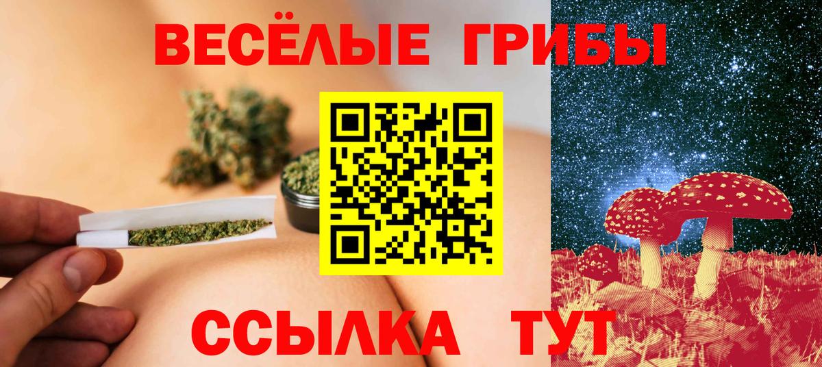 Псилоцибиновые грибы Cubensis Видное