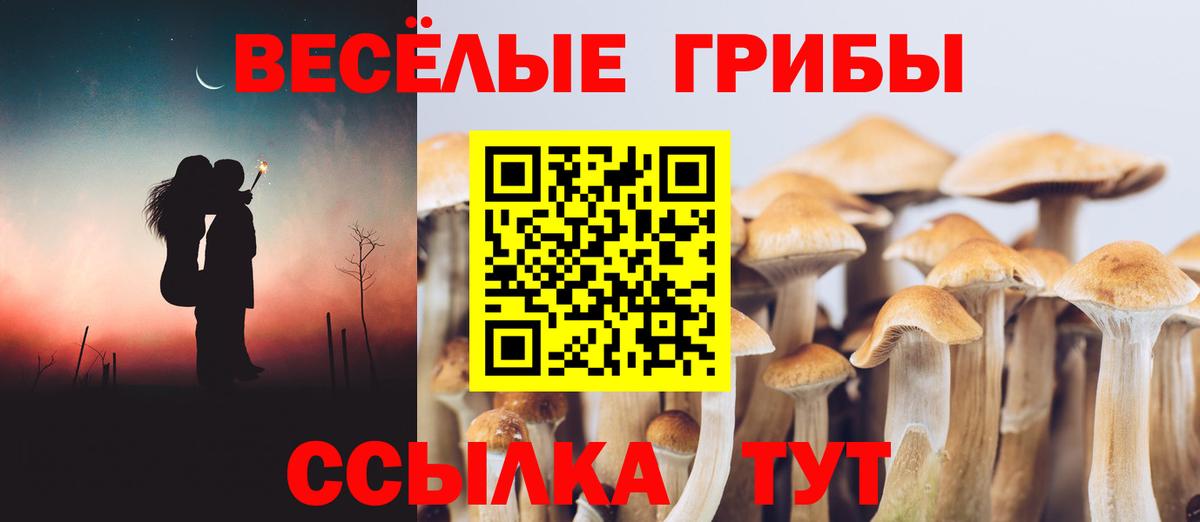 Галлюциногенные грибы MAGIC MUSHROOMS  Вход с VPN  Видное 